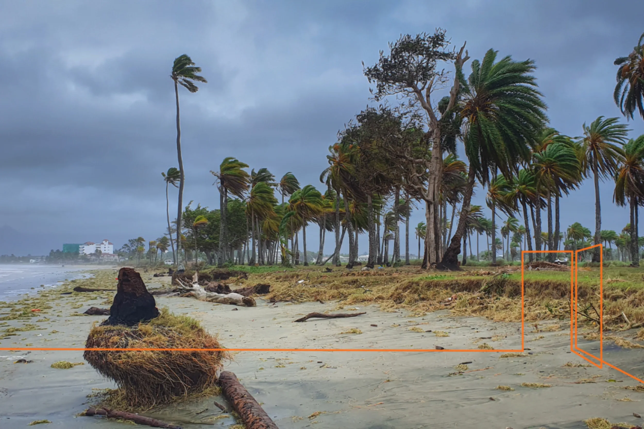 Let's open the door to cyclone preparedness with Habitat for Humanity New Zealand