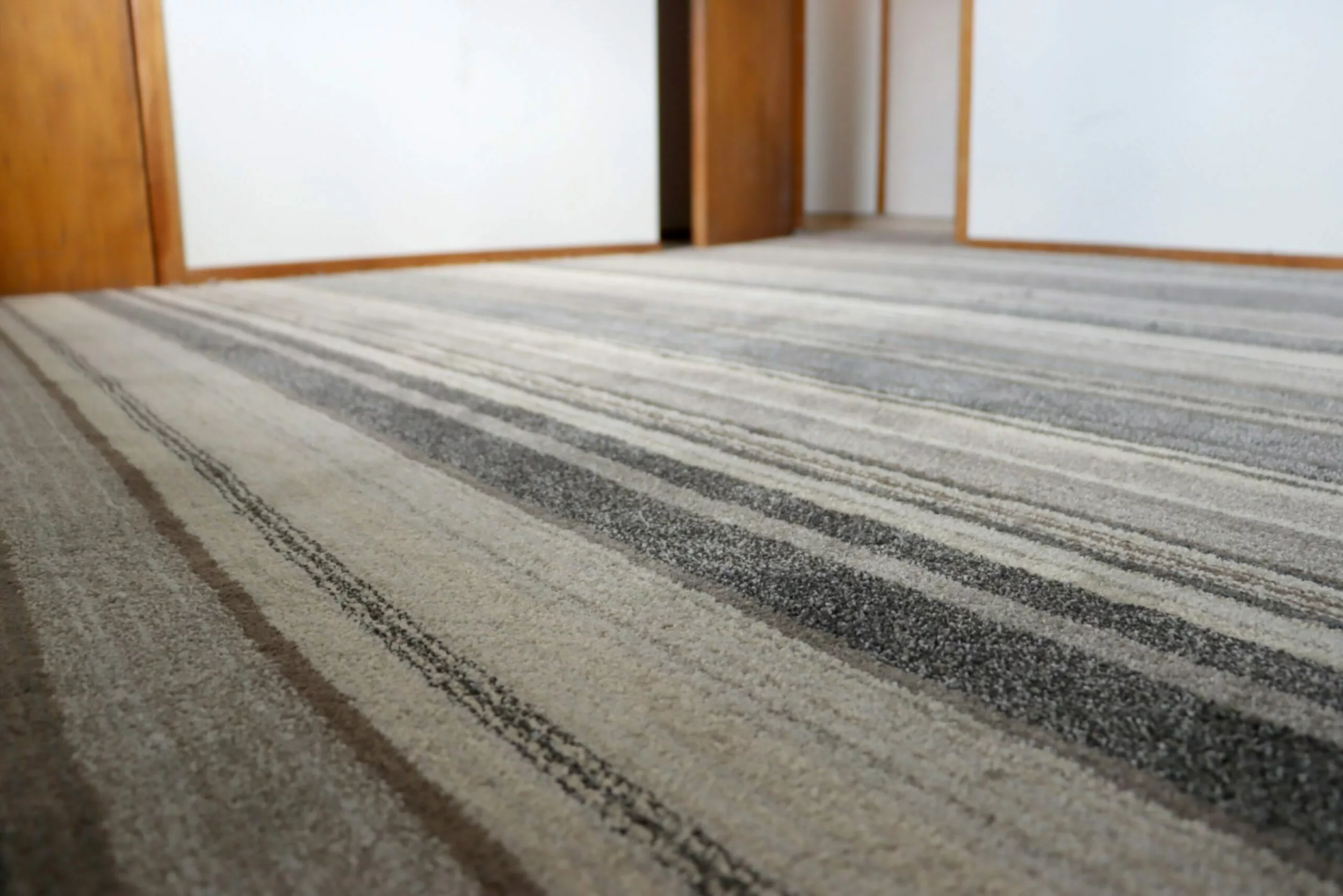 Northerns home repairs Carpet 2023