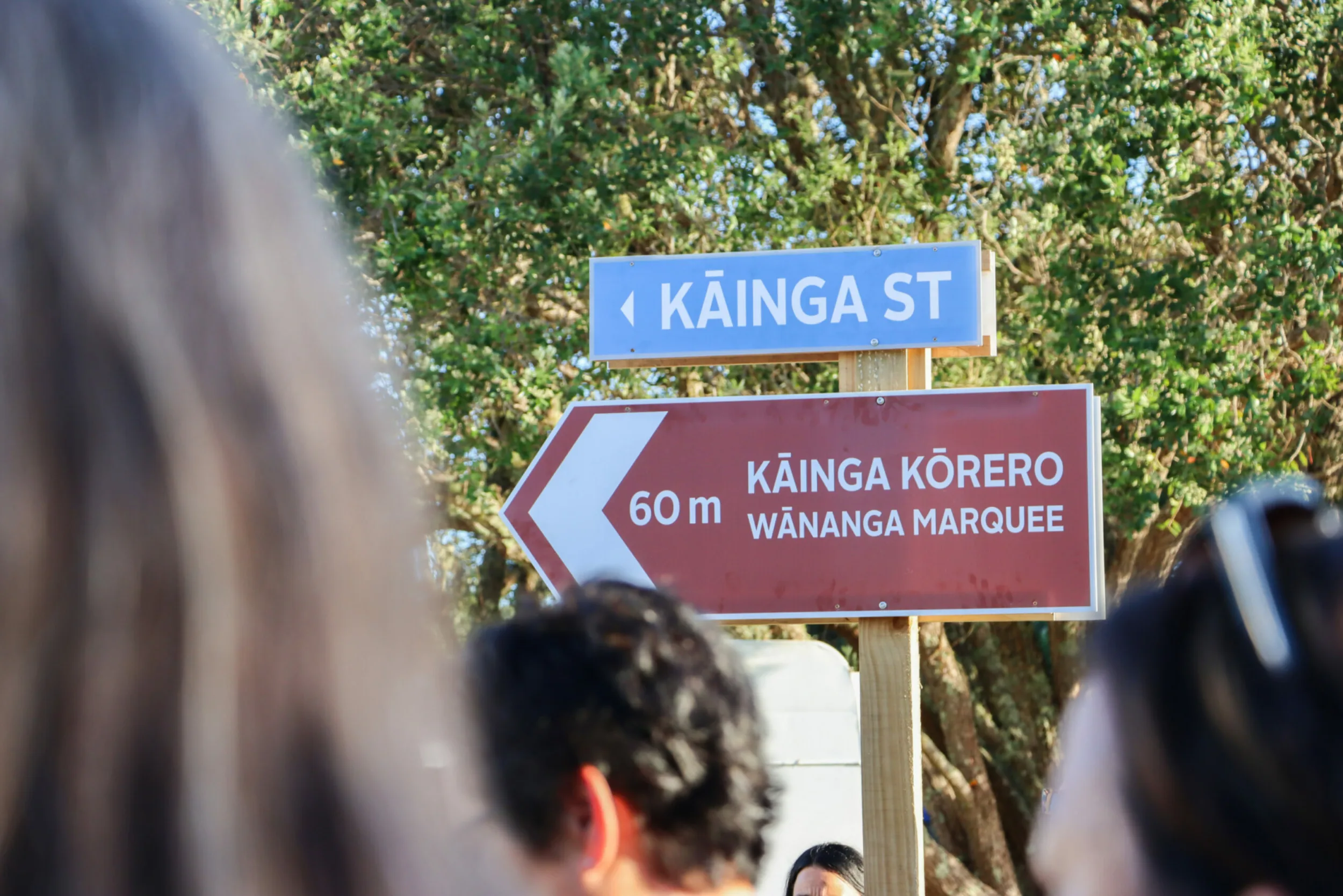 Waitangi Signage Northern expo Feb 2024