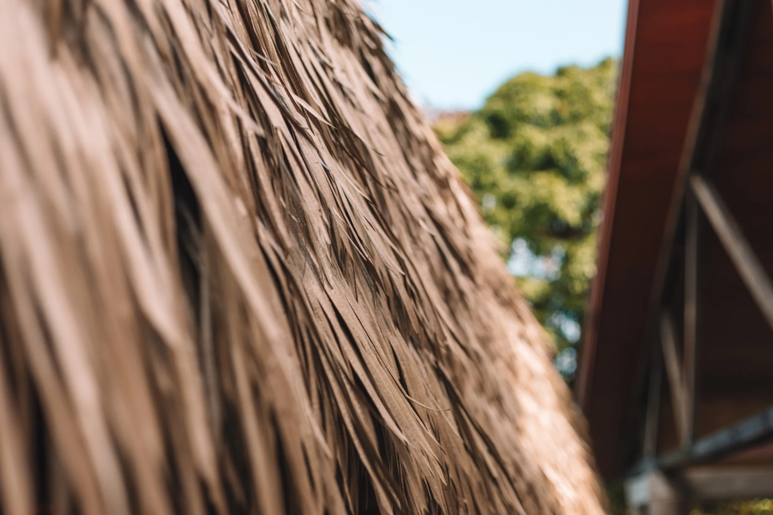 HEA presentation Urban forum high res 2419 1